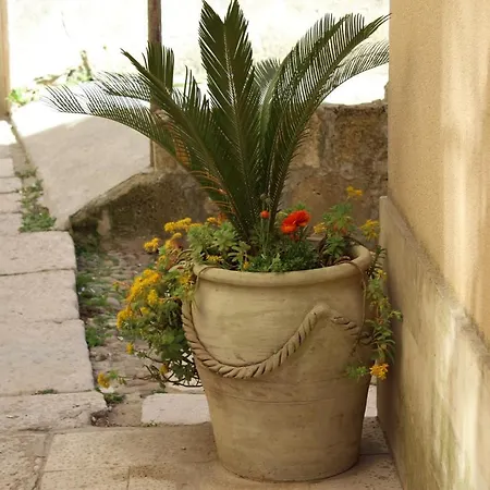 Conte Umberto * Salemi